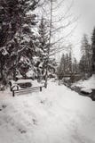 Een sneeuw behandelde bank in Vail, Colorado tijdens de winter royalty-vrije stock foto Een sneeuw behandelde bank in Vail, Colorado tijdens de winter royalty-vrije stock foto