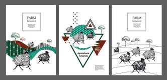 Een troep van schapen loopt Geometrische samenstelling Landbouwillustratie royalty-vrije illustratie Een troep van schapen loopt Geometrische samenstelling Landbouwillustratie royalty-vrije illustratie