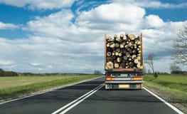 Een vrachtwagen op autosnelweg die logboeken vervoeren stock fotografie Een vrachtwagen op autosnelweg die logboeken vervoeren stock fotografie