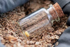 In een zak natuurlijk die vlas met zaden van installaties wordt gevuld is een glasfles met één bloemzaad De fles is gesloten met royalty-vrije stock foto In een zak natuurlijk die vlas met zaden van installaties wordt gevuld is een glasfles met één bloemzaad De fles is gesloten met royalty-vrije stock foto