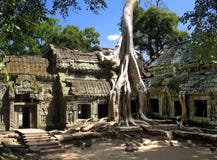 Een zijde-katoenen boom verbruikt de oude ruïnes van Ta Prohm, Angkor, Kambodja royalty-vrije stock afbeeldingen Een zijde-katoenen boom verbruikt de oude ruïnes van Ta Prohm, Angkor, Kambodja royalty-vrije stock afbeeldingen