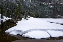 Eenzaam Pijnboommeer, Rocky Mountain National Park stock foto's Eenzaam Pijnboommeer, Rocky Mountain National Park stock foto's