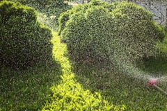 Effect of splashing water from the sprinkler on grass royalty free stock photos Effect of splashing water from the sprinkler on grass royalty free stock photos