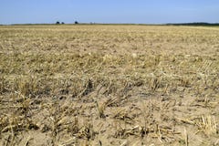 The effects of drought, dried field in the summer. royalty free stock photo The effects of drought, dried field in the summer. royalty free stock photo