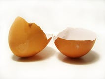 Egg Royalty Free Stock Photography Egg Royalty Free Stock Photography