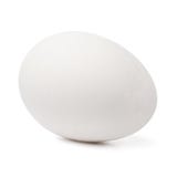egg białego kurczaka Zakończenie cień fotografia stock egg białego kurczaka Zakończenie cień fotografia stock
