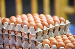 Egg In Box Fresh Eggs Packaging On Tray From Chicken Farm Royalty Free Stock Image