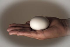Egg laying on a womans hand royalty free stock photography Egg laying on a womans hand royalty free stock photography