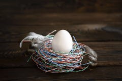Egg in the nest of wires, colored wire stock photography Egg in the nest of wires, colored wire stock photography