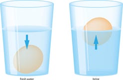 Egg and water