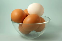 Eggs. Some brown eggs and one white egg in a bowl royalty free stock image Eggs. Some brown eggs and one white egg in a bowl royalty free stock image