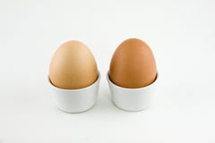 Eggs Royalty Free Stock Image