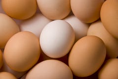 Eggs Royalty Free Stock Photography