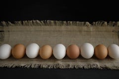 Eggs at a canvas on a dark background stock images Eggs at a canvas on a dark background stock images
