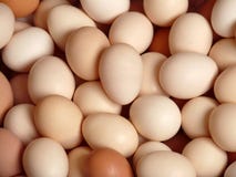 Eggs Home, Background Royalty Free Stock Image