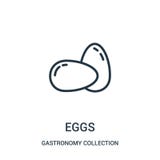 eggs icon vector from gastronomy collection collection. Thin line eggs outline icon vector illustration royalty free illustration eggs icon vector from gastronomy collection collection. Thin line eggs outline icon vector illustration royalty free illustration