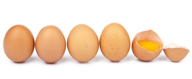 Eggs In A Row Isolated Stock Photography