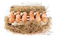 Eggs In Pack Stock Photo