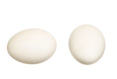 Eggs On White Royalty Free Stock Images