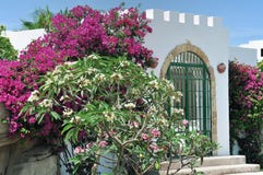 Egypt Resort Area Of Sharm El Sheikh Royalty Free Stock Images Egypt Resort Area Of Sharm El Sheikh Royalty Free Stock Images