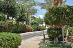 Egypt Resort Area Of Sharm El Sheikh Royalty Free Stock Images Egypt Resort Area Of Sharm El Sheikh Royalty Free Stock Images