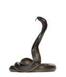 Egyptian cobra - Naja haje Stock Photos Egyptian cobra - Naja haje Stock Photos