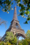 Eiffel Tower With Spring Tree In Paris, France Stock Photos Eiffel Tower With Spring Tree In Paris, France Stock Photos