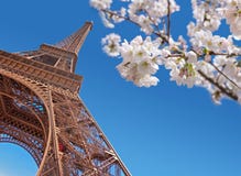 Eiffelturm- und Kirschblüte, Paris-Frühjahrkonzept Stockbild Eiffelturm- und Kirschblüte, Paris-Frühjahrkonzept Stockbild