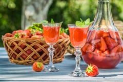 Eigengemaakte aardbeilikeur die in de tuin wordt gediend stock afbeelding Eigengemaakte aardbeilikeur die in de tuin wordt gediend stock afbeelding