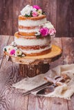 Eigengemaakte cake en dienende reeks royalty-vrije stock afbeeldingen Eigengemaakte cake en dienende reeks royalty-vrije stock afbeeldingen