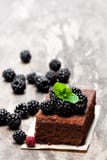 Eigengemaakte chocoladebrownie met bessen op houten lijst royalty-vrije stock foto's Eigengemaakte chocoladebrownie met bessen op houten lijst royalty-vrije stock foto's