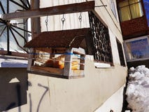 Eigengemaakte vogelvoeder met voedsel en brood dichtbij het venster van het huis stock foto Eigengemaakte vogelvoeder met voedsel en brood dichtbij het venster van het huis stock foto
