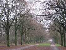 Ein alter Reitenweg im Parc Blumende Paris, Paris stockbild Ein alter Reitenweg im Parc Blumende Paris, Paris stockbild