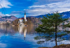 Ein Baum und eine Kirche auf dem See geblutet lizenzfreie stockbilder Ein Baum und eine Kirche auf dem See geblutet lizenzfreie stockbilder