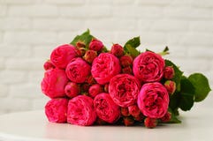 Ein Blumenrosahintergrund für Entwurf stockbild Ein Blumenrosahintergrund für Entwurf stockbild
