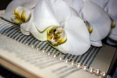 Ein Bookmark im Buch - Blumen von weißen Orchideen stockfotografie Ein Bookmark im Buch - Blumen von weißen Orchideen stockfotografie