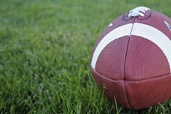 Ein Fußball auf dem Gras horizontal lizenzfreie stockbilder Ein Fußball auf dem Gras horizontal lizenzfreie stockbilder