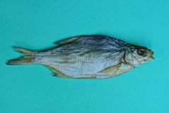 Ein großer Trockenfisch auf einer grünen Tabelle stockbild Ein großer Trockenfisch auf einer grünen Tabelle stockbild