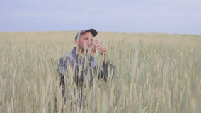 Ein junger Landwirt überprüft die Anlagen auf einem Roggengebiet 4K stock video Ein junger Landwirt überprüft die Anlagen auf einem Roggengebiet 4K stock video