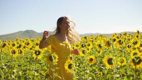 Ein junges Mädchen in einem gelben Kleid läuft über das Feld in den Sonnenblumen Langsame Bewegung stock footage Ein junges Mädchen in einem gelben Kleid läuft über das Feld in den Sonnenblumen Langsame Bewegung stock footage