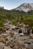 Ein kleiner Nebenfluss, der über Felsen vor dem Schnee kaskadiert, bedeckte den Mount Rainier mit einer Kappe stockfotos Ein kleiner Nebenfluss, der über Felsen vor dem Schnee kaskadiert, bedeckte den Mount Rainier mit einer Kappe stockfotos
