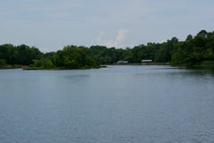 Ein kleiner See nahe Quitman in Ost-Texas lizenzfreie stockbilder Ein kleiner See nahe Quitman in Ost-Texas lizenzfreie stockbilder