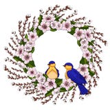 Ein Kranz von rosa Kirschblumen mit hellgrünen Blättern und jungen Weidenniederlassungen mit Frühlingsvögeln Natürlicher runder R stock abbildung Ein Kranz von rosa Kirschblumen mit hellgrünen Blättern und jungen Weidenniederlassungen mit Frühlingsvögeln Natürlicher runder R stock abbildung