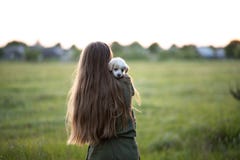 Ein M?dchen steht mit seinem zur?ck und h?lt einen Labrador-Welpen Bei Sonnenuntergang in der Wiese im Fr?hjahr Freundschaft, Gl? lizenzfreies stockfoto Ein M?dchen steht mit seinem zur?ck und h?lt einen Labrador-Welpen Bei Sonnenuntergang in der Wiese im Fr?hjahr Freundschaft, Gl? lizenzfreies stockfoto