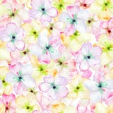 Ein nahtloses Blumenmuster mit den zarten rosa blühenden Blumen des Apfelbaums, gemalt in einem Aquarell stock abbildung Ein nahtloses Blumenmuster mit den zarten rosa blühenden Blumen des Apfelbaums, gemalt in einem Aquarell stock abbildung