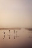 Ein nebelhafter Morgen durch den See Raum für Text stockfotos Ein nebelhafter Morgen durch den See Raum für Text stockfotos