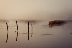 Ein nebelhafter Morgen durch den See Raum für Text lizenzfreie stockfotografie Ein nebelhafter Morgen durch den See Raum für Text lizenzfreie stockfotografie