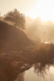 Ein nebelhafter Morgen durch den See Schattenbild von Bäumen mit Sonnenstrahlen lizenzfreie stockbilder Ein nebelhafter Morgen durch den See Schattenbild von Bäumen mit Sonnenstrahlen lizenzfreie stockbilder