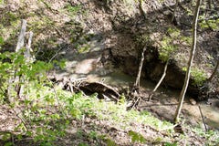 Ein Weg in der Natur lizenzfreie stockfotografie Ein Weg in der Natur lizenzfreie stockfotografie