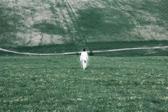 Eine einsame weiße glühende Zahl eines Mannes geht durch ein düsteres GR stockfotos Eine einsame weiße glühende Zahl eines Mannes geht durch ein düsteres GR stockfotos